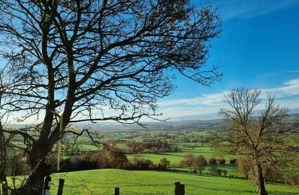 Top Hospitality & Gastronomy in Clwyd