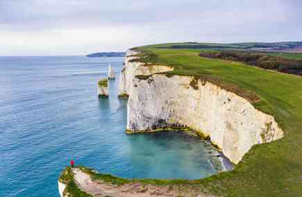 Top Dorset Hospitalities & Gastronomies You Must Try