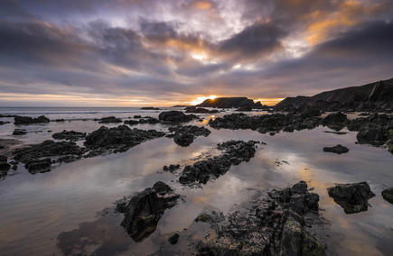 Top Dyfed Hospitalities & Gastronomies