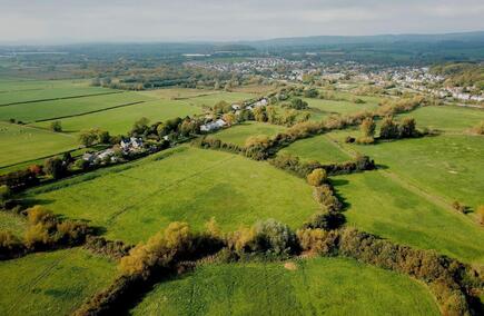 Top Hospitality & Gastronomy in Gwent