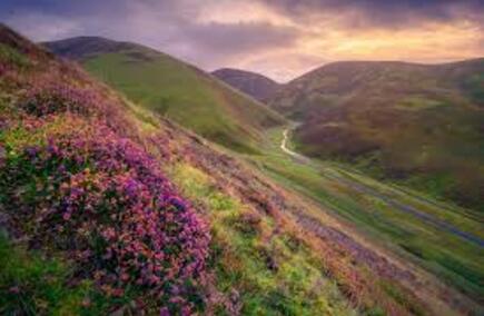 Top Hospitalities & Gastronomies in West Lothian