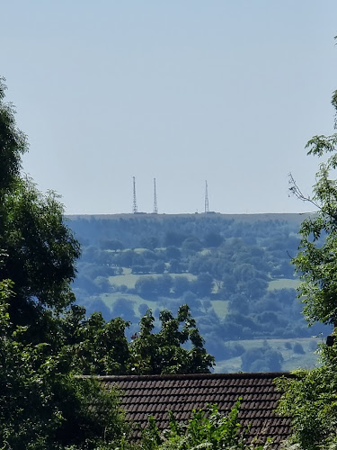 Comentarii opinii despre Trinant rugby Club