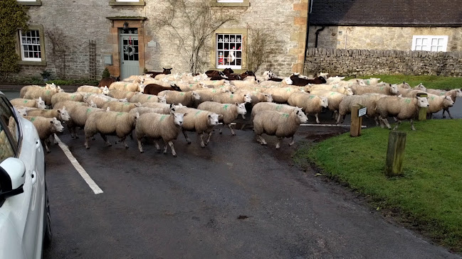 Opinii despre The George at Alstonefield în Ashbourne - Hospitality and gastronomy