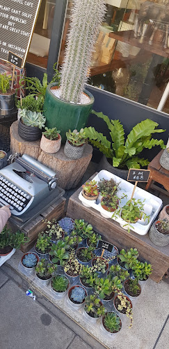 The Travel Cafe - Hospitality and gastronomy