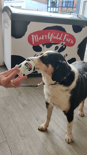 Opinii despre 1910 Coffee House în Kingston upon Thames - Hospitality and gastronomy