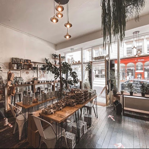 Comentarii opinii despre Foliage Cafe