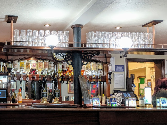 Swan & Three Cygnets