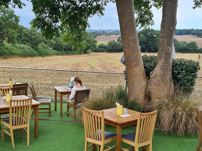 Opinii despre The Old Guinea în Potters Bar - Hospitality and gastronomy