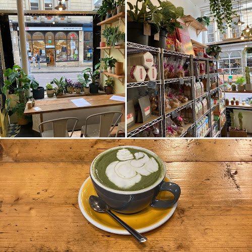 Foliage Cafe - Hospitality and gastronomy