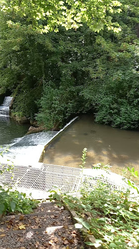 Pontymoile Basin - Pontypool