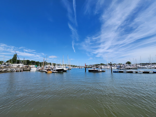 Comentarii opinii despre The Jolly Sailor