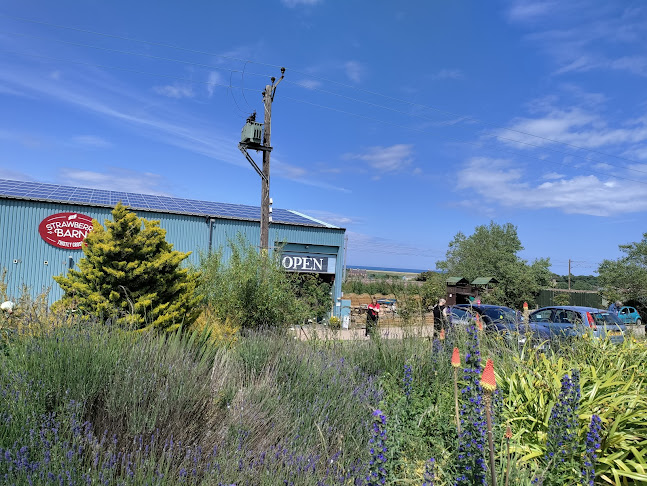 The Strawberry Barn - Dunbar