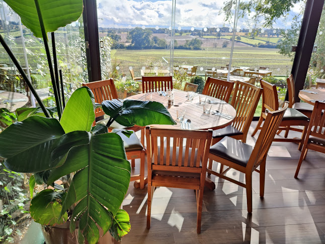 Comentarii opinii despre The Old Guinea