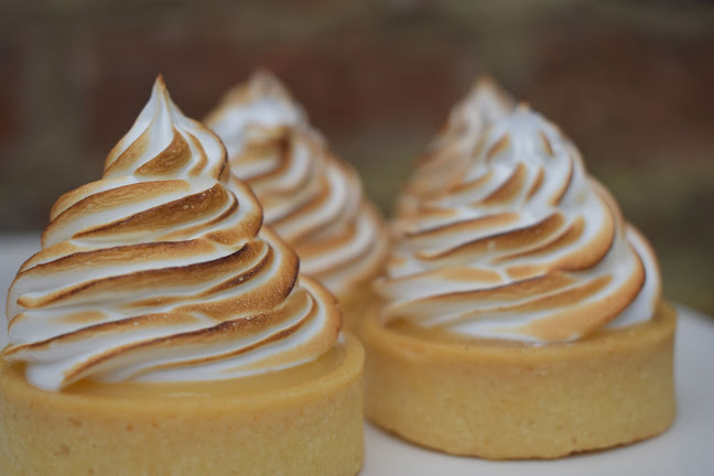 Comentarii opinii despre KNEAD Elkstone