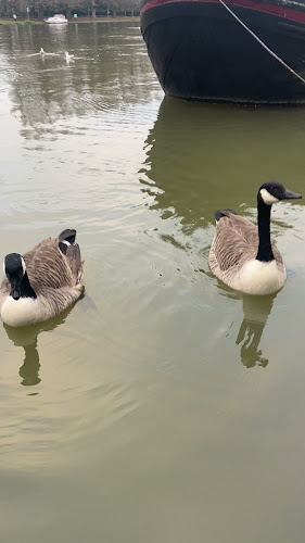 3-5 Thames St, Kingston upon Thames KT1 1QN