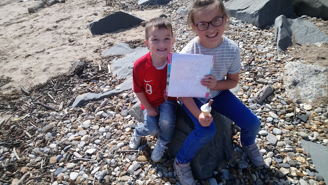 Comentarii opinii despre Sue's Café