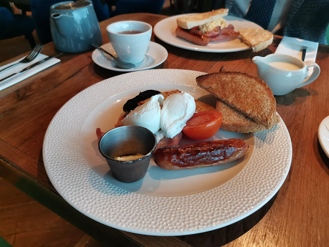 Comentarii opinii despre The Vine