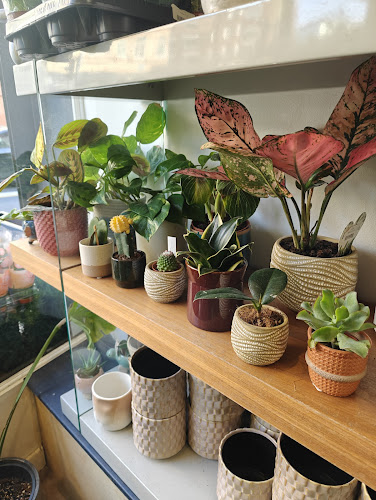 The Travel Cafe - London