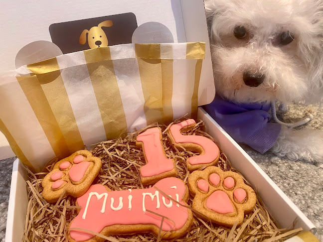 Opinii despre The Dogs Bakery & Cafe în Harrogate - Hospitality and gastronomy