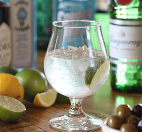 Comentarii opinii despre The Duke Of Wellington