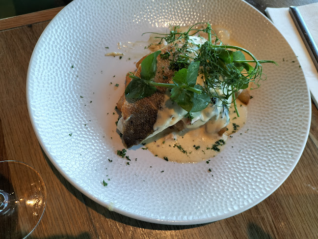 Comentarii opinii despre The Vine