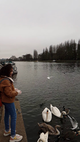 The Gazebo Pub and Riverside Dining - Kingston upon Thames