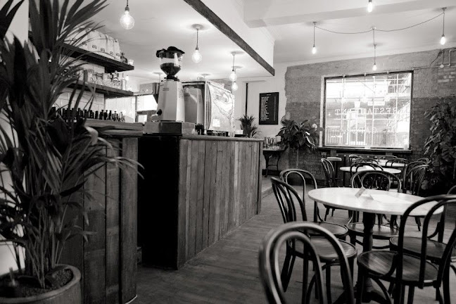 Comentarii opinii despre Royal Star