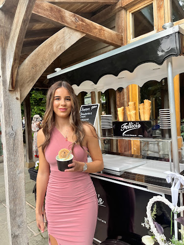 Comentarii opinii despre Fellici's Ice Cream Carts