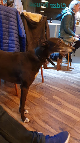 Opinii despre Green Man Ale & Cider House în Worthing - Hospitality and gastronomy