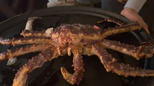 Opinii despre Beast în London - Hospitality and gastronomy