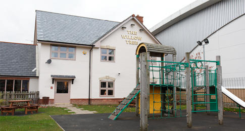 Willow Tree - Ebbw Vale