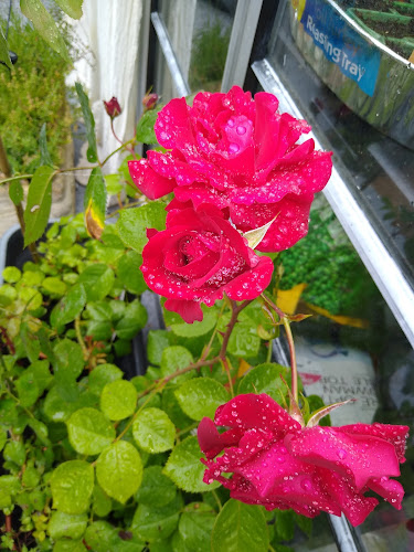 127 Collyer Ave, Bognor Regis PO21 5HU