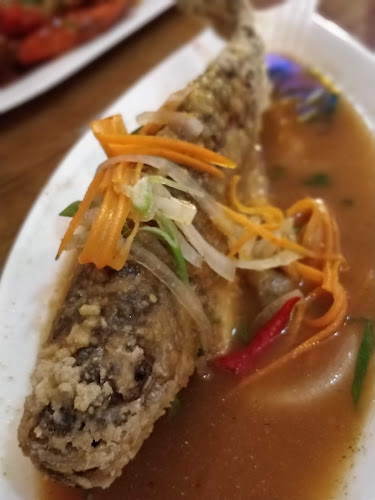 Thainese Restaurant - Hospitality and gastronomy