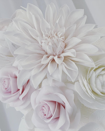 320 Main St, Camelon, Falkirk FK1 4EG, United Kingdom