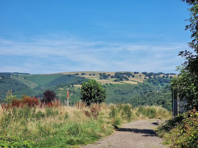 Trinant rugby Club - Newport