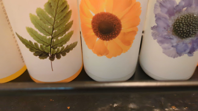 The Canford Pub - Hospitality and gastronomy