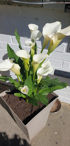 Comentarii opinii despre The Saltire Bar