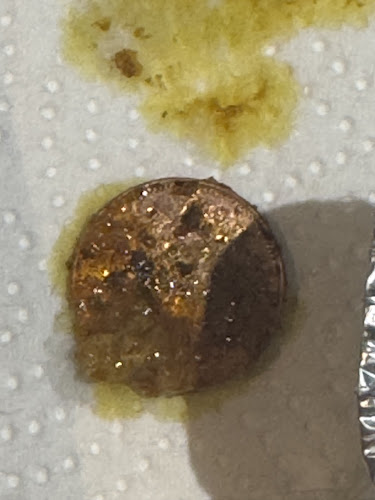 Opinii despre Taj Mahal Restaurant în Budleigh Salterton - Hospitality and gastronomy