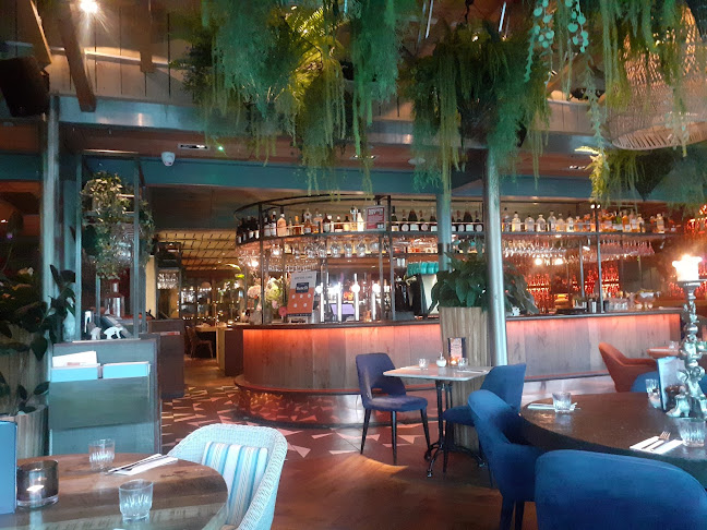 The Vine - Hospitality and gastronomy