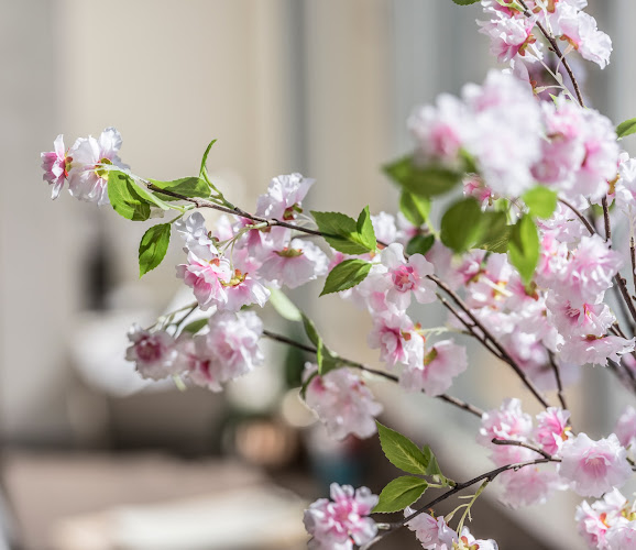 Comentarii opinii despre Isabella's coffee shop