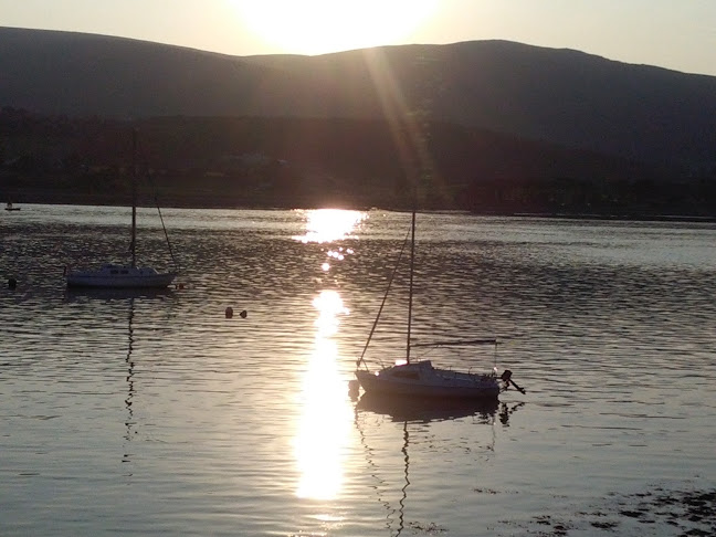 Comentarii opinii despre The Foresters