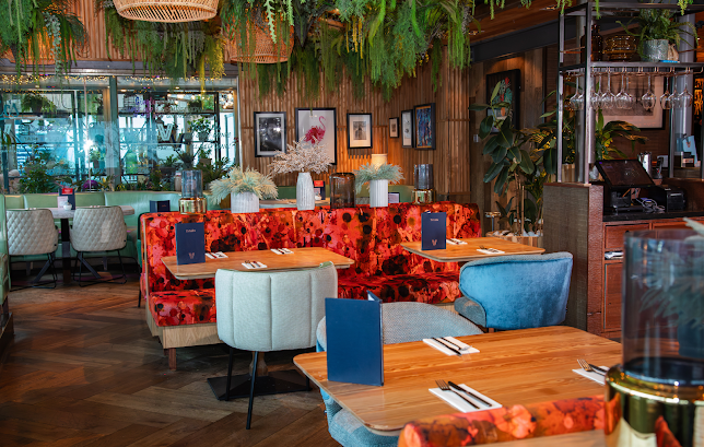 Comentarii opinii despre The Vine