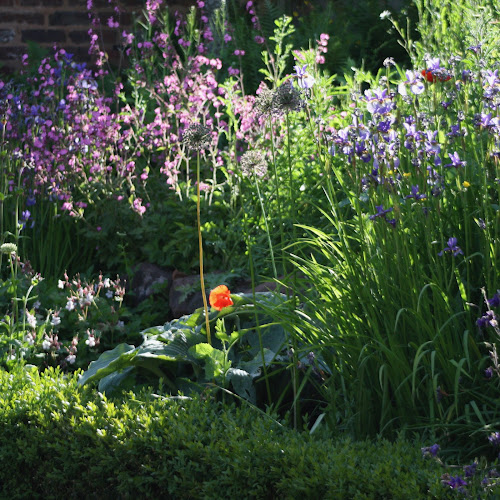 Comentarii opinii despre The Garden Kitchen