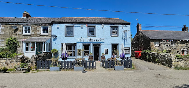 The Pheasant - Newquay