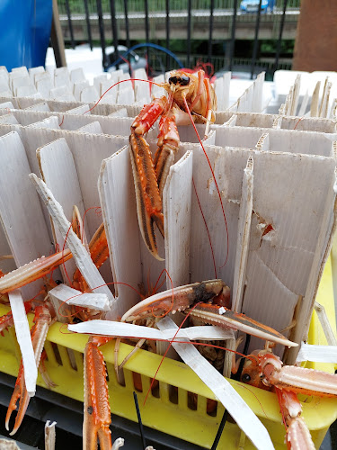 Edinburgh Farmers' Market - Edinburgh