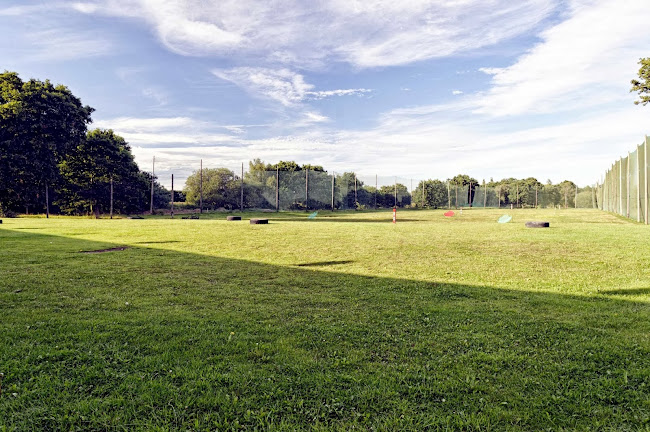 Opinii despre The Forest Inn în Ferndown - Hospitality and gastronomy