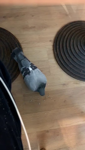 Opinii despre Fernando's Café în Oxford - Hospitality and gastronomy