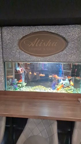 Comentarii opinii despre Alisha Lounge & Grill