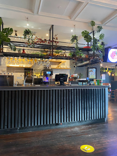 Café Aylanto - Hospitality and gastronomy