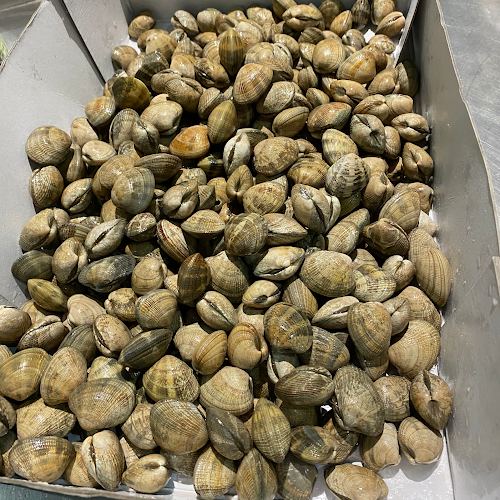 Comentarii opinii despre Terra Nostra Restaurant